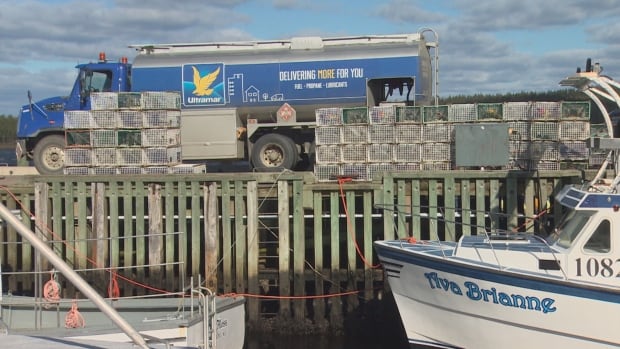 N.S. lobster fishery braces for a downturn as inflation hits