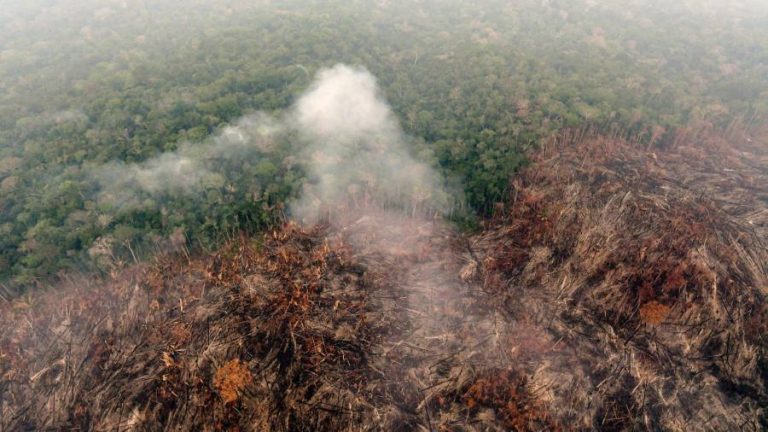 Amazon destruction woes overshadow Brazil’s farming advances