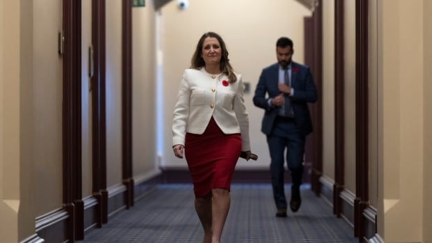 Freeland introduces mini-budget that promises support for low-income workers, students