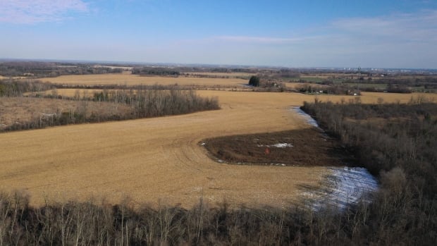 Wealthy Ontario developer close to winning long battle to build homes on protected Greenbelt