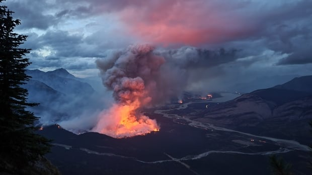 This year’s wildfire season fluctuated wildly across provinces. Here’s a look at the numbers