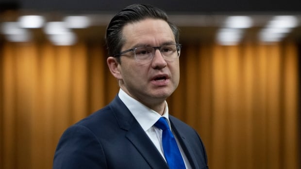 Poilievre blasted during Commons debate on cryptocurrency legislation