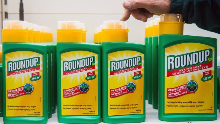 Bayer: Roundup case blights crop giant’s bumper harvest