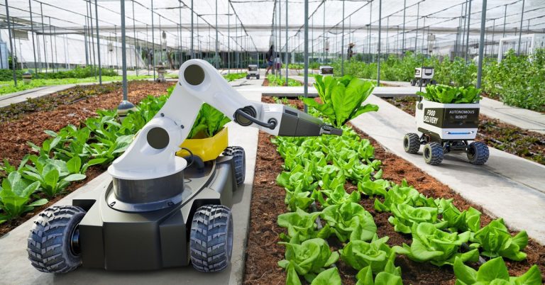 Farmbots bring precision to the business of food production