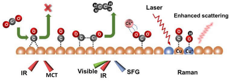 Fundamental aspects in carbon dioxide electroreduction reaction tackled by vibrational spectroscopies