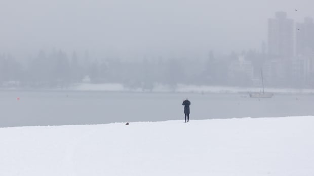 Snowstorm set to hit southwest B.C. prompts warning to avoid non-essential travel