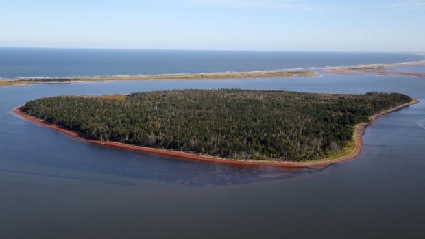 Nature Conservancy of Canada to buy island off western P.E.I. and give it to the Mi’kmaq