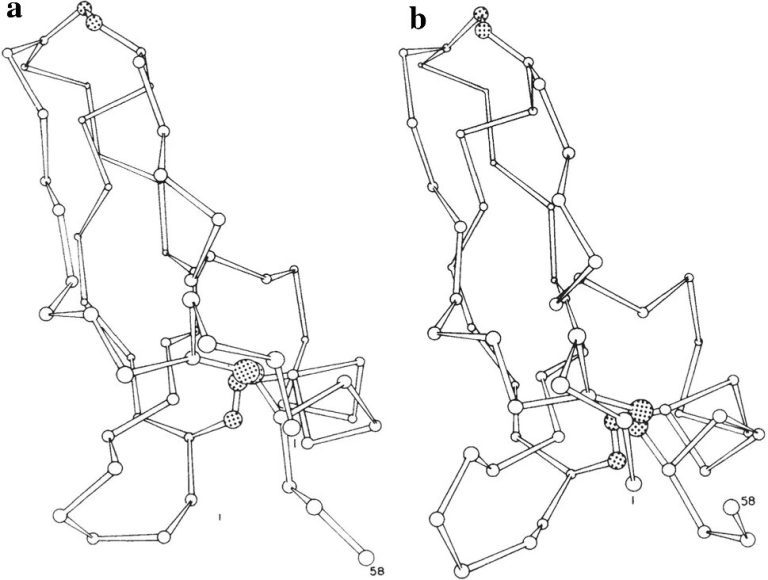 Legacy of a molecular dynamics trailblazer: Computer simulations meet biochemistry