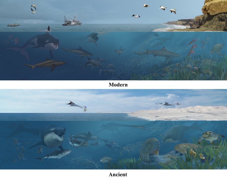 New pterosaur species identified in sub-Saharan Africa