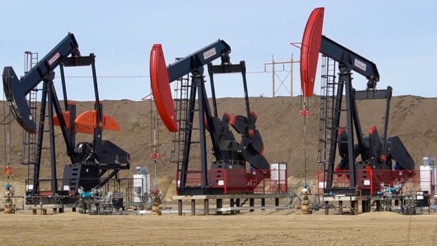 Albertans say they aren’t afraid of transitioning away from oil