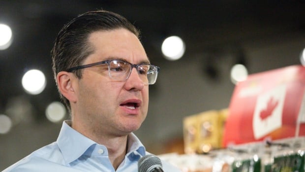 Trudeau ‘has failed to protect our democracy’ from China’s threats, says Poilievre