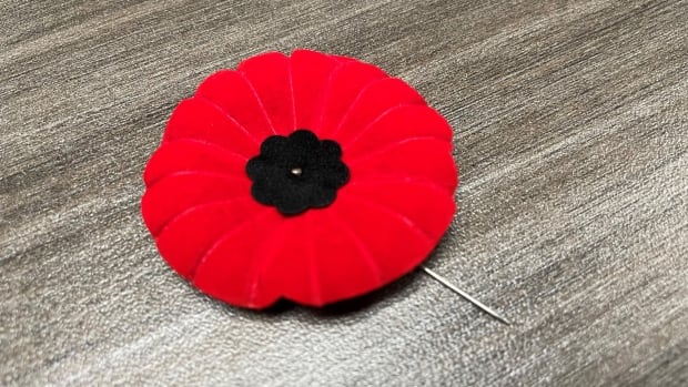 This year’s Remembrance Day poppies are biodegradable for the 1st time