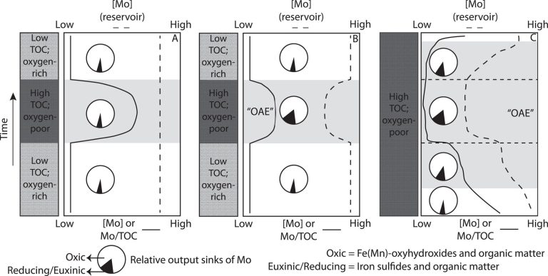 Researchers find decrease in crucial trace element preceded ancient mass extinction