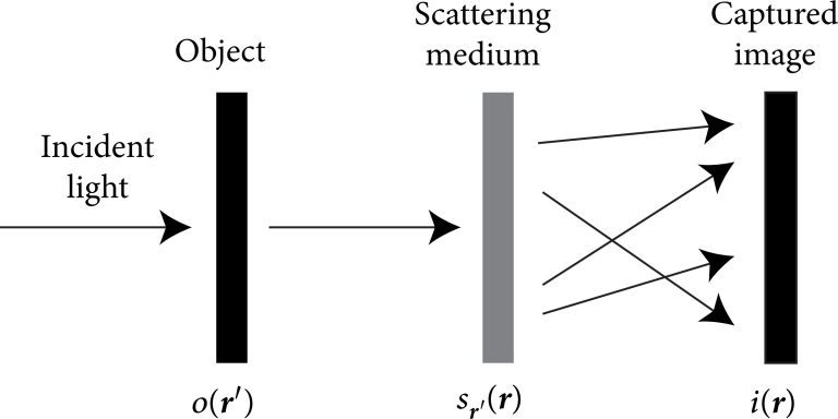 Researchers manage to extend the field of view for speckle-correlation imaging under a limited memory effect