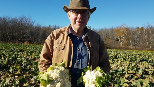 This farmer says he reluctantly throws away enough cauliflower to feed a province