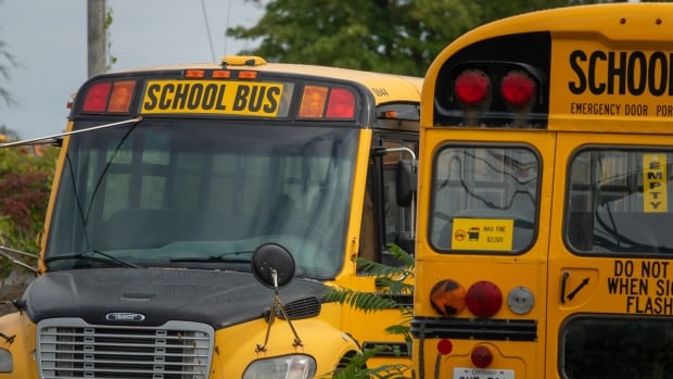 Video appears to show 5-year-old boy dragged several metres by school bus near Brantford, Ont.