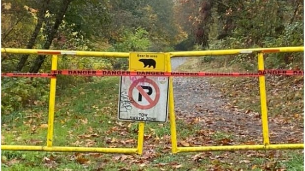 Bears that attacked two Squamish women won’t be captured or killed