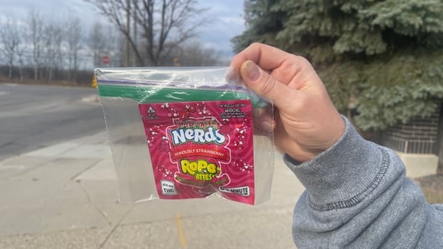 2 arrested in connection with cannabis candies given to trick-or-treaters: Winnipeg police