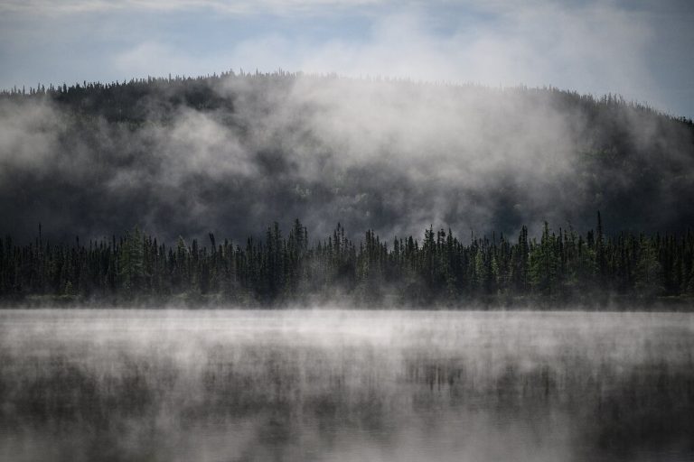 Subarctic boreal forest, vital for the planet, is at risk