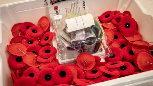 Unauthorized online poppy sales; airlines fight compensation rulings: CBC’s Marketplace cheat sheet