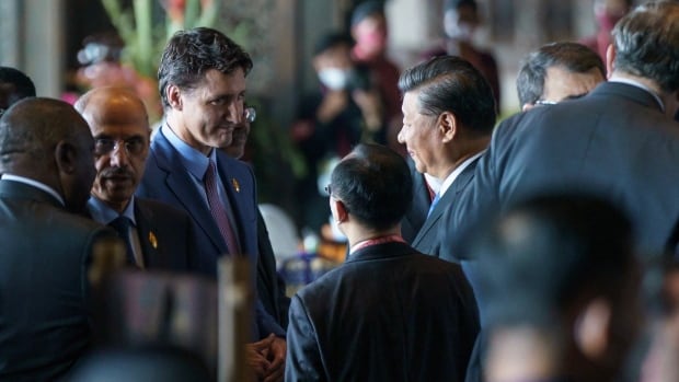 Trudeau, Chinese President Xi Jinping meet face to face at G20 in Indonesia