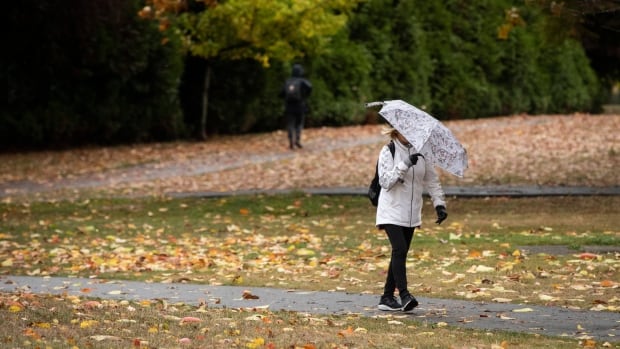 Tens of thousands lose power as windstorm lashes southwest B.C.