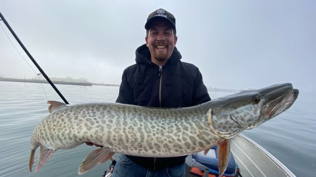 Why this big fish caught in downtown Toronto is a big deal for the environment