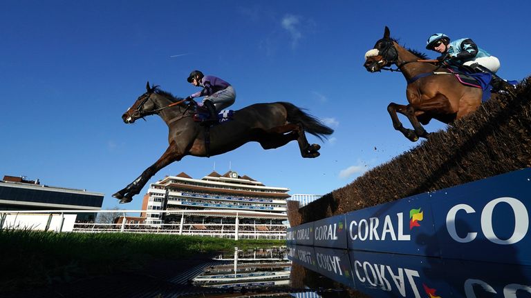 Stage Star in full flight at Newbury when finishing second in a Grade Two behind Sebastopol