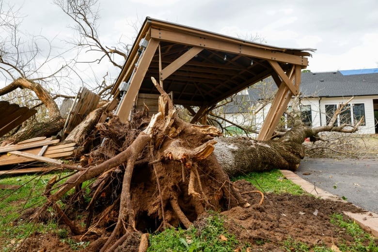 A tree uprooted by a possible tornado lays beside a damaged gazebo.