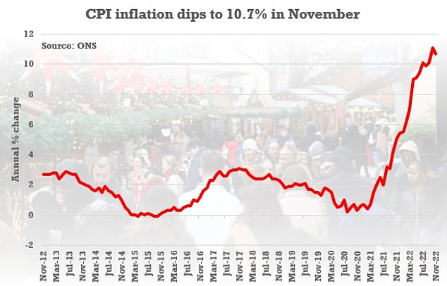 Going down: The headline CPI rate fell from the eye-watering 11.1% recorded in October, and further than the 10.9% analysts had expected