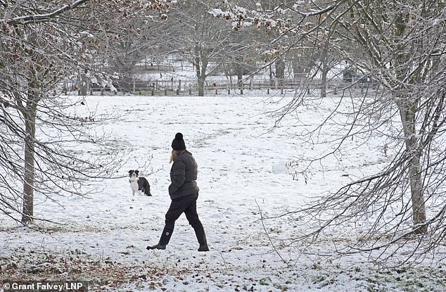 A walker and their dog venture into the freezing conditions in Foots Cray Park in south east London