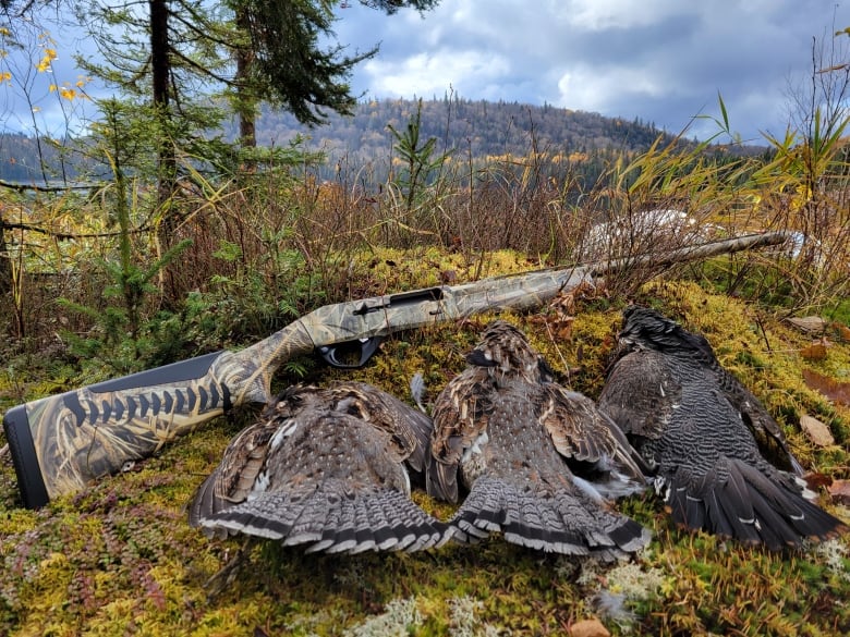 Three dead birds and a hunting rifle arranged on the mossy ground.