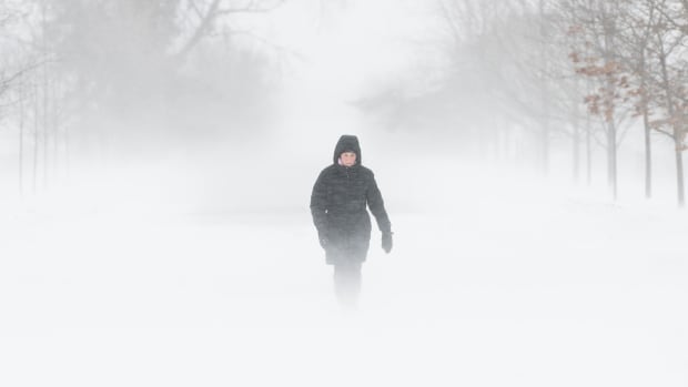 Winter storm continues to disrupt Christmas Day travel in some parts of Canada