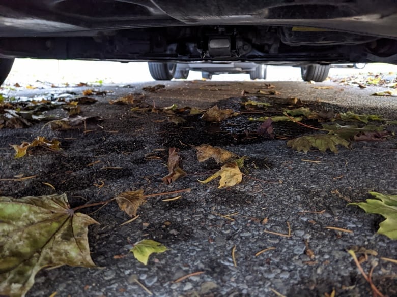 Transmission fluid can  be seen on the ground below the rental car.