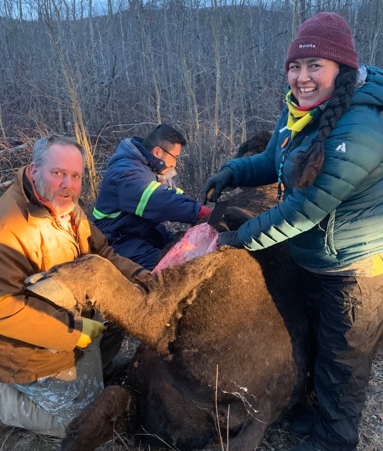 Staff prepare a bison provided by N.W.T. Environment and Natural Resources. 