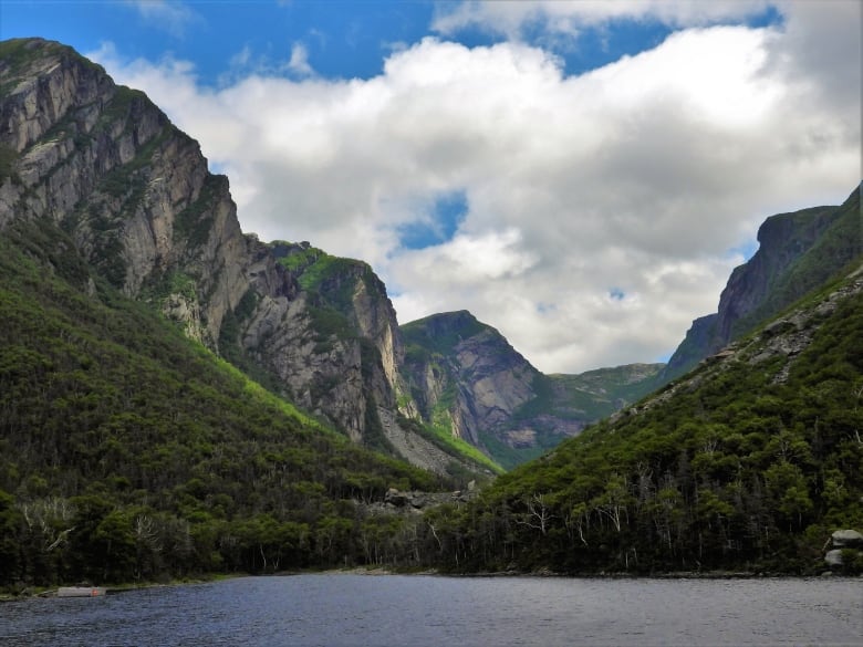 Two sets of cliffs converge at a small harbour.