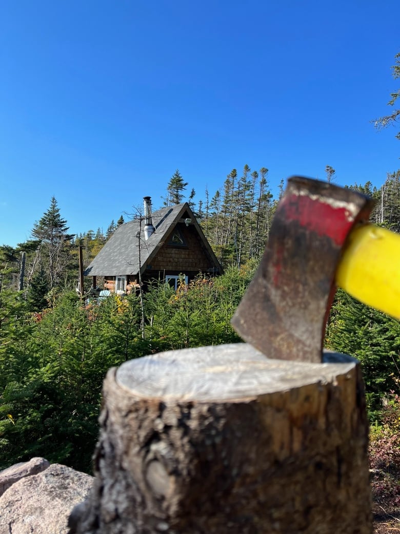 An ax is plunged into a cutting stump near a trapper's hut in the forest.