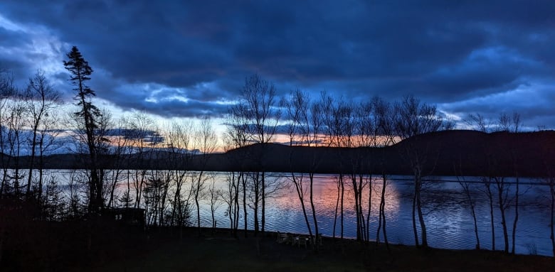 The sun begins to rise over the bare trees and still waters of a lake.