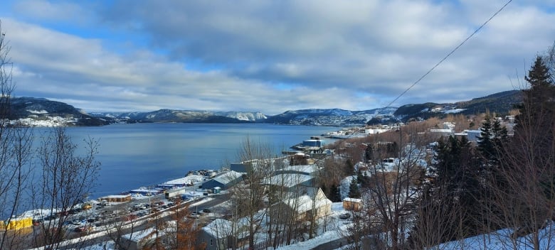 The Curling area of Corner Brook, covered in snow, next to a calm harbour with snowy mountains in the distance.