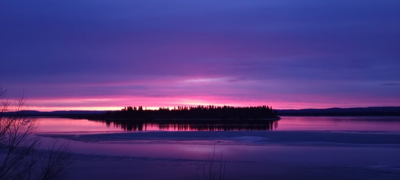 The sun sets with unusual purple colours behind an island of trees with the ocean in the foreground. 