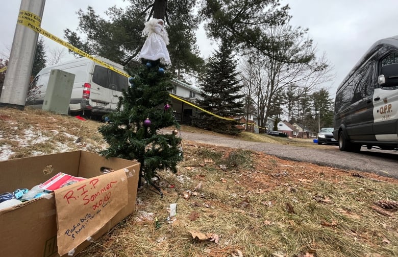 A small Christmas tree and a box of ornaments left in front of a house.