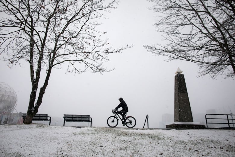 A person rides a bike along a snowy verge.