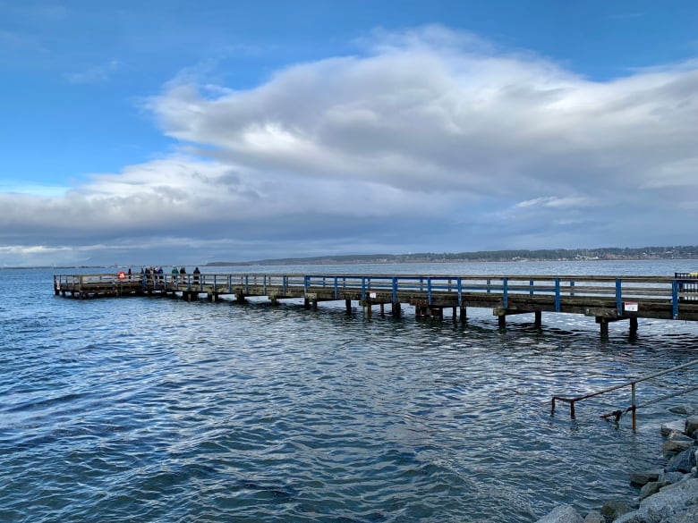 A photo of high water levels at the Crescent beach pier in Surrey, B.C.