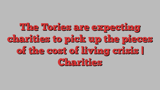 The Tories are expecting charities to pick up the pieces of the cost of living crisis | Charities