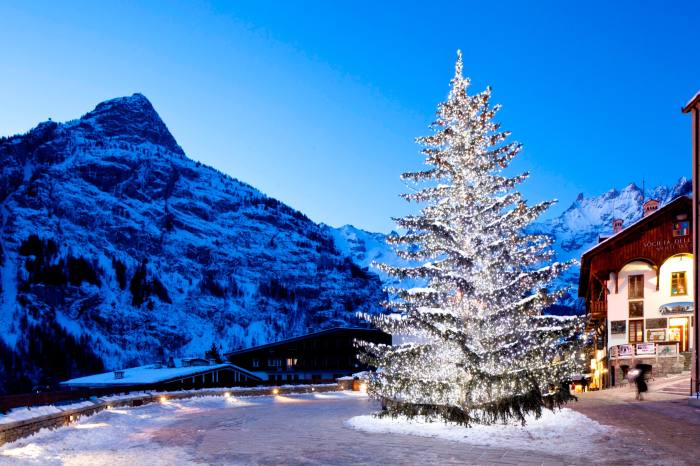 A brightly lit tree takes centre stage in a paved plaza at dusk