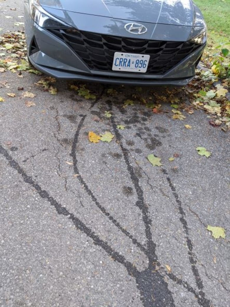 The front end of the rental car is pictured, with visible lines of transmission fluid on the ground below it. 