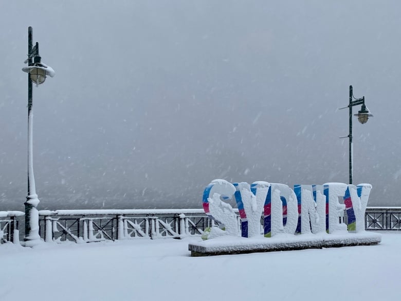 Snow falls on a sign that reads "Sydney."