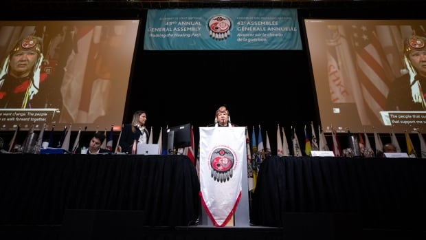 Assembly of First Nations chiefs to vote on $20B child welfare deal