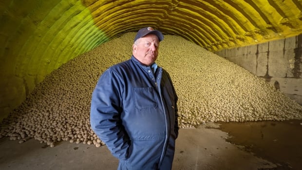 P.E.I. potato farmers sue federal government over release of tax information