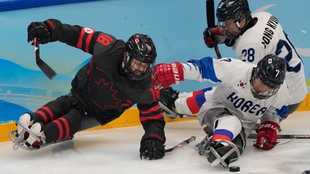 Paralympic hockey player calls for greater accessibility in Ontario ice rinks